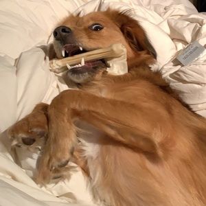 It’s already almost the weekend!